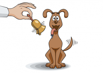 Operant conditioning and classical conditioning