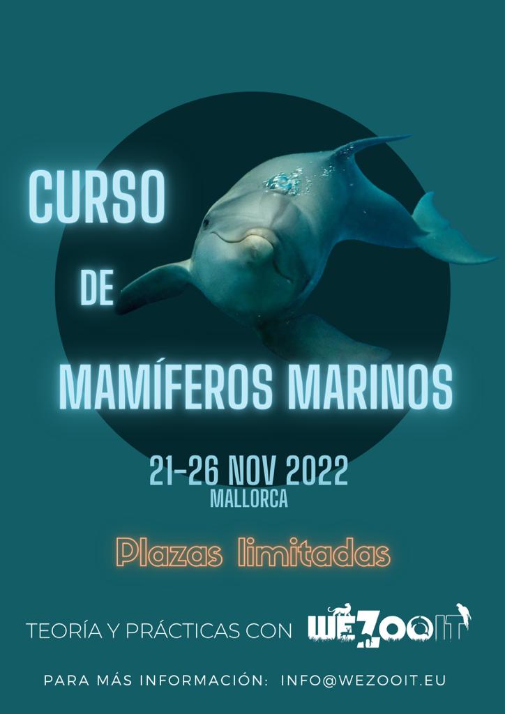Curso de mamíferos marinos