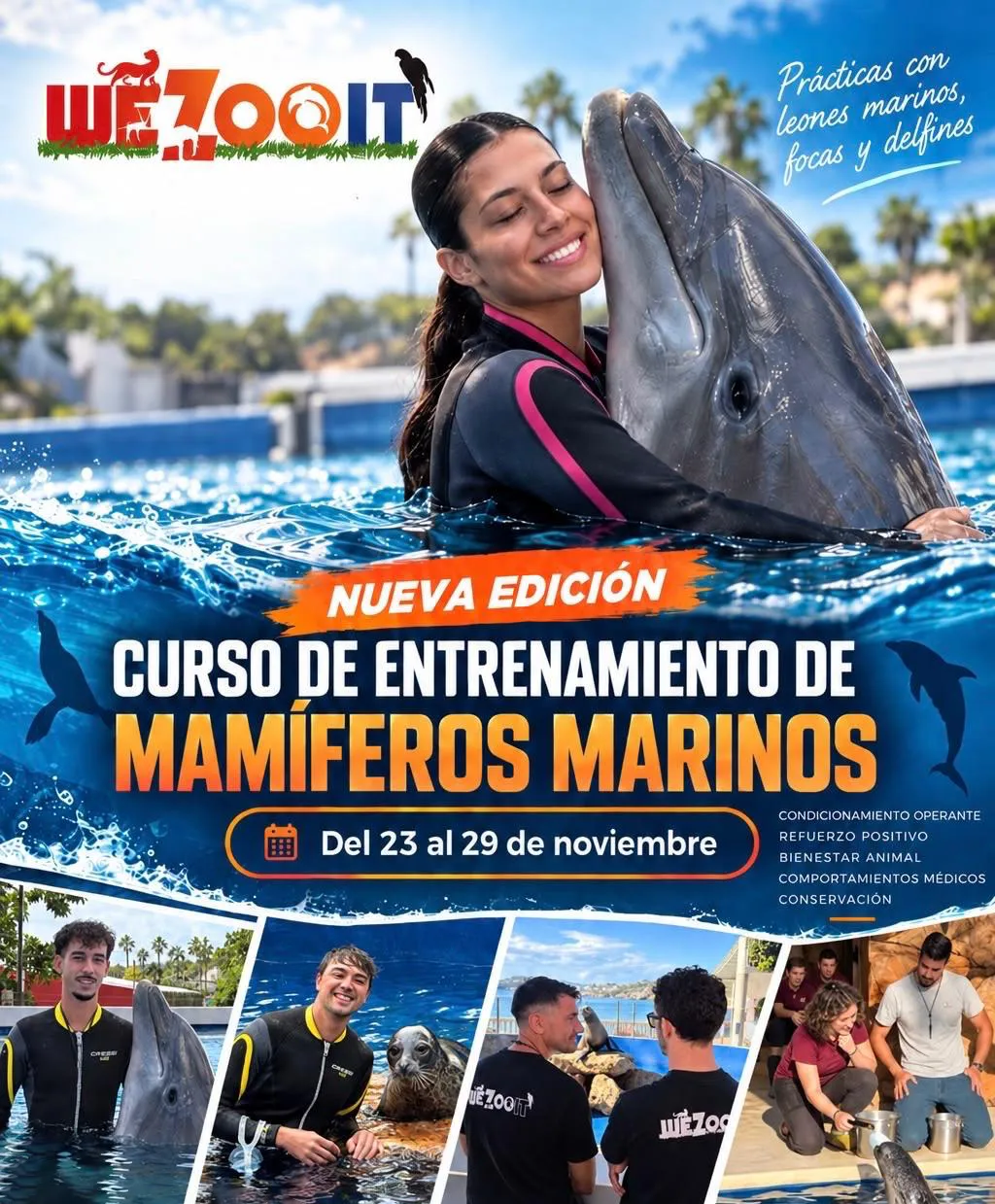 Curso de Entrenamiento de Mamíferos Marinos 2026 Curso de mamíferos marinos